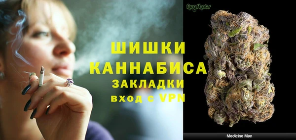 молекула духа Бронницы