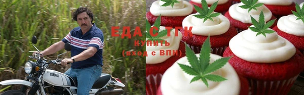шишки Бородино