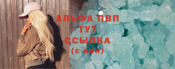 шишки Бородино
