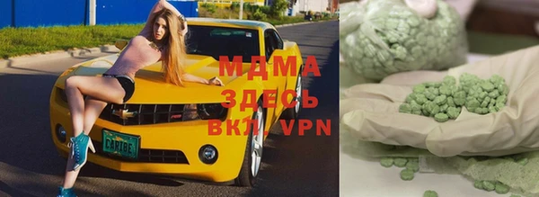 шишки Бородино