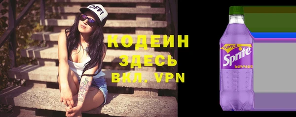 шишки Бородино