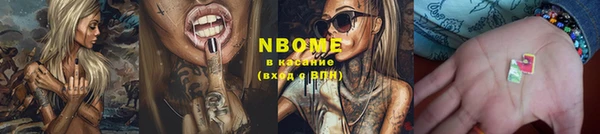 шишки Бородино