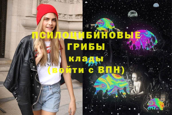 молекула духа Бронницы