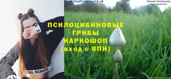 марки lsd Бугульма