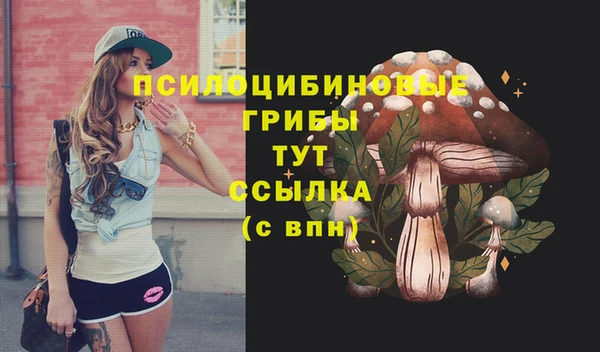 индика Верхнеуральск