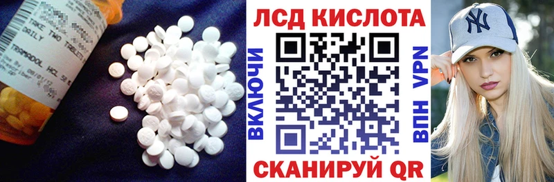 купить закладку  Грайворон  кракен онион  LSD-25 экстази кислота 