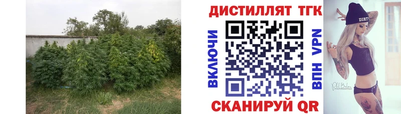 Дистиллят ТГК жижа  как найти   Грайворон 